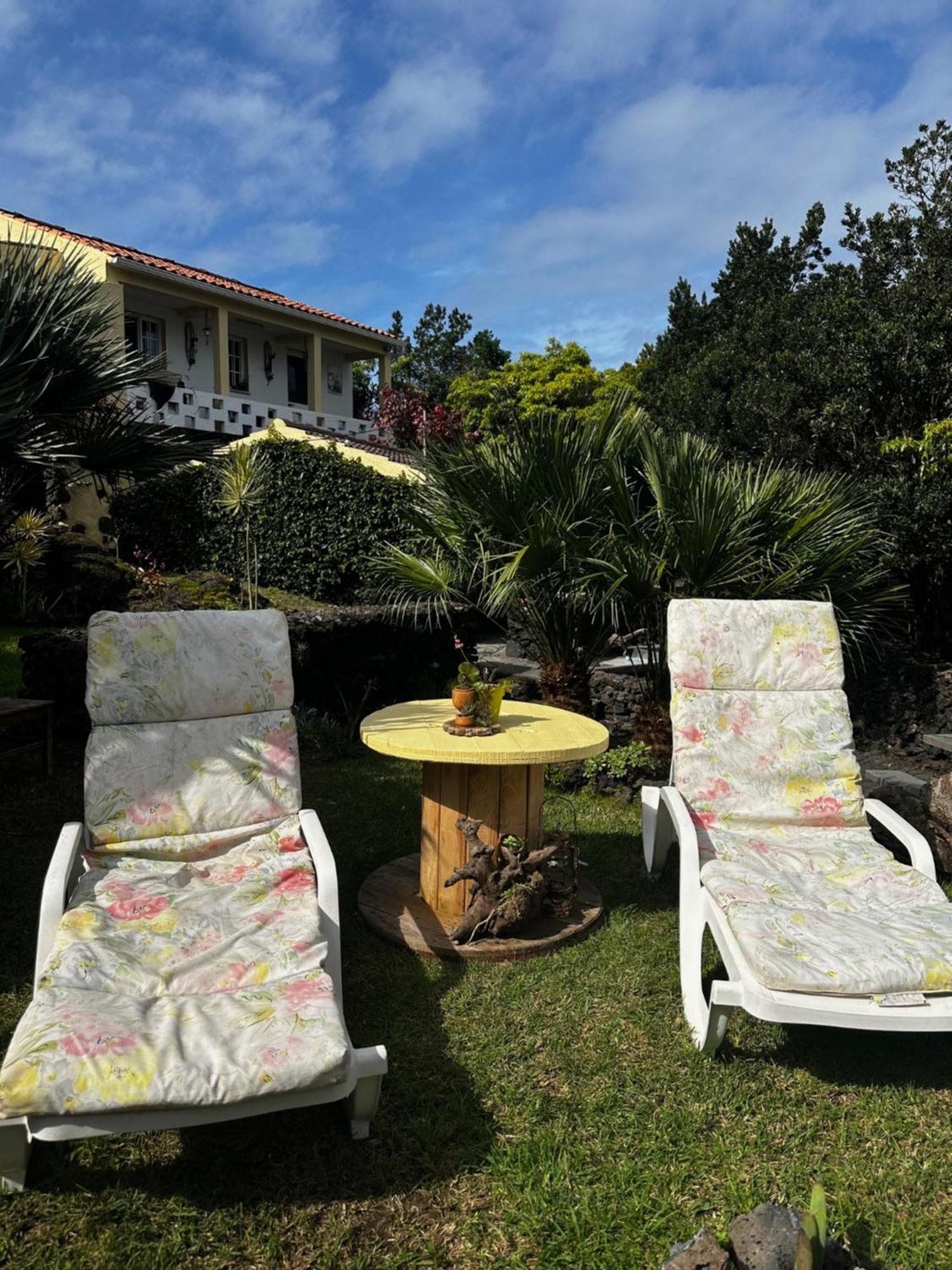Portugal House Villa Praia do Norte Exterior photo