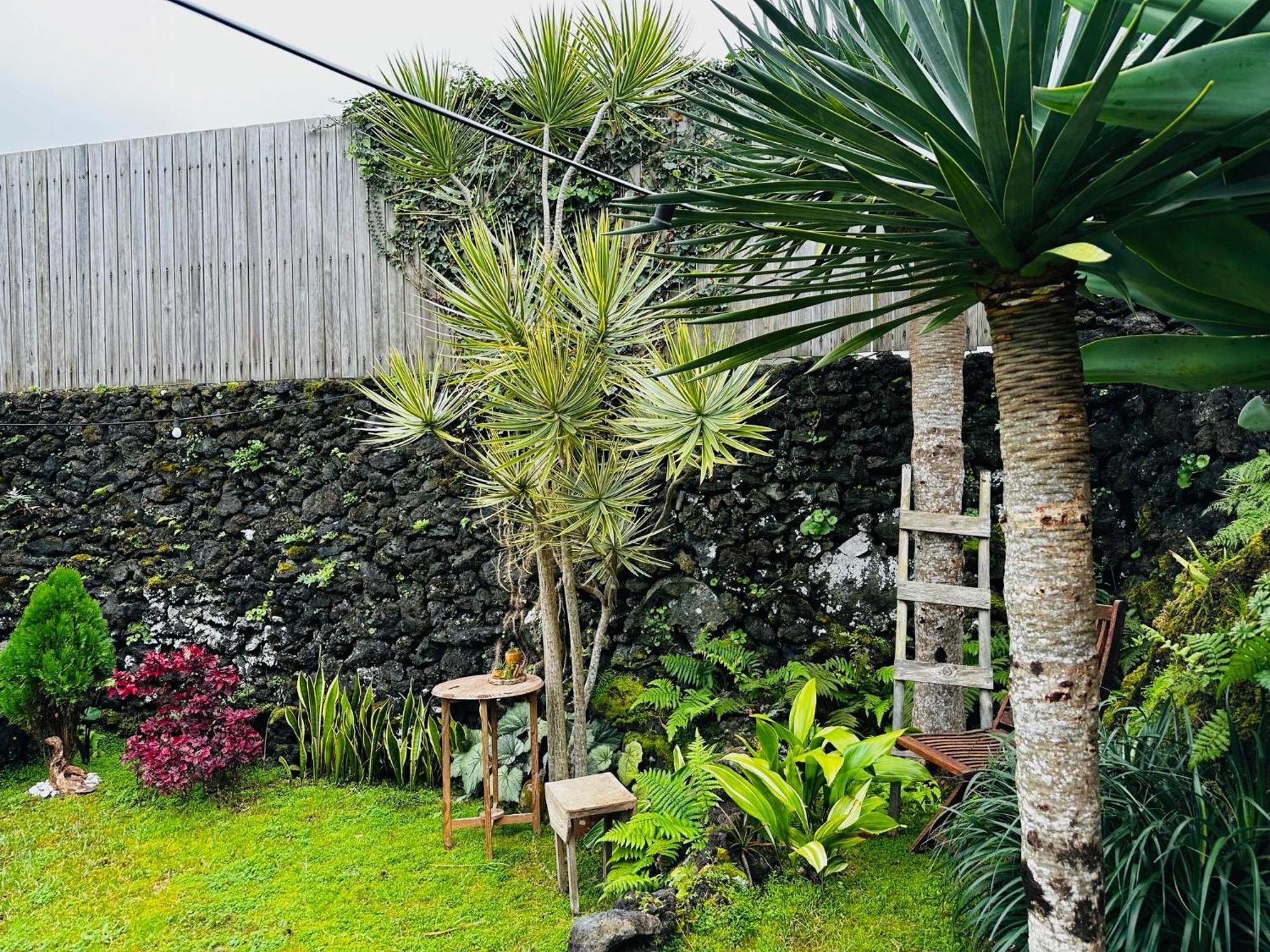 Portugal House Villa Praia do Norte Exterior photo