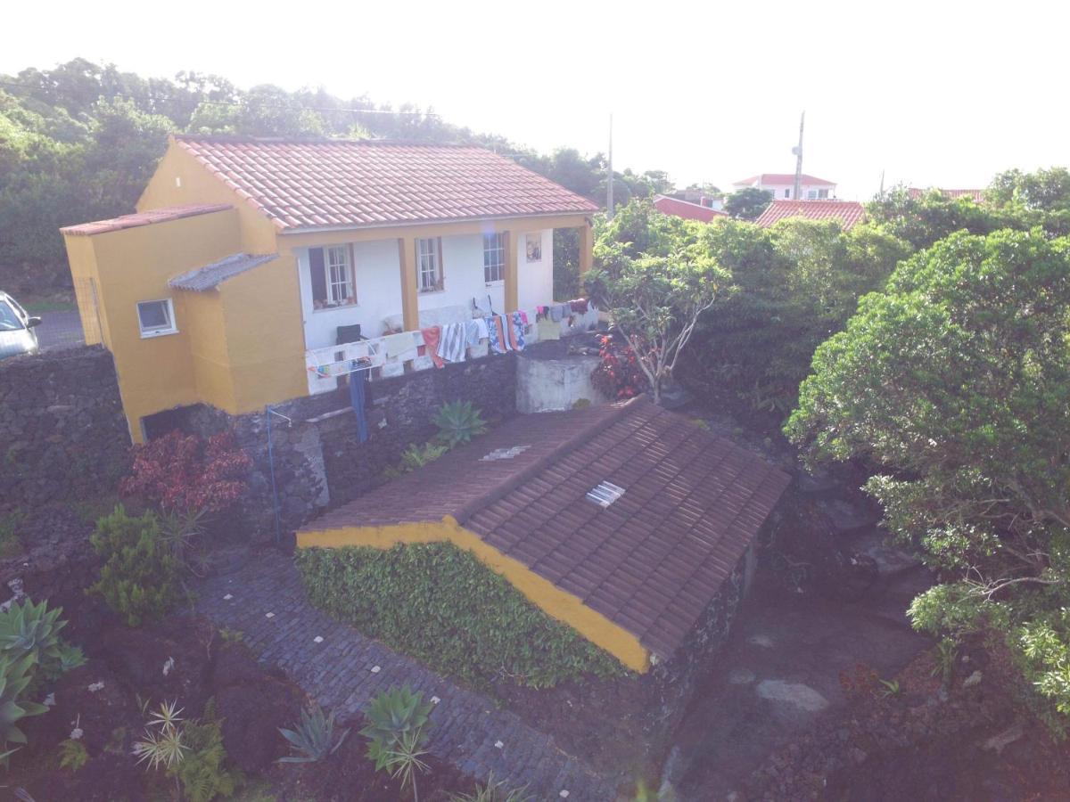 Portugal House Villa Praia do Norte Exterior photo